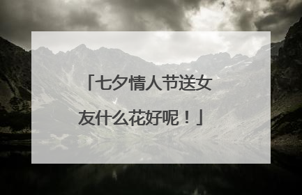 七夕情人节送女友什么花好呢!