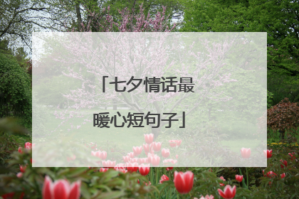 七夕情话最暖心短句子