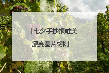 七夕手抄报唯美漂亮图片5张