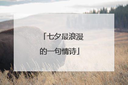 七夕最浪漫的一句情诗