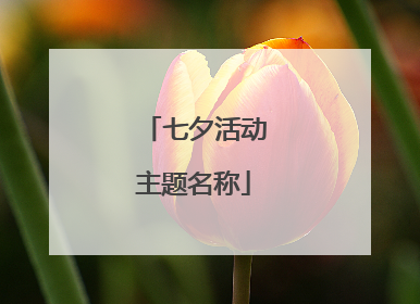 七夕活动主题名称