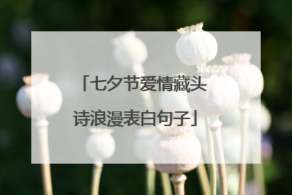 七夕节爱情藏头诗浪漫表白句子