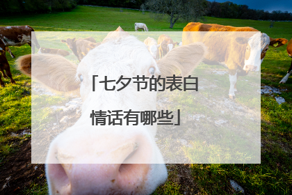 七夕节的表白情话有哪些