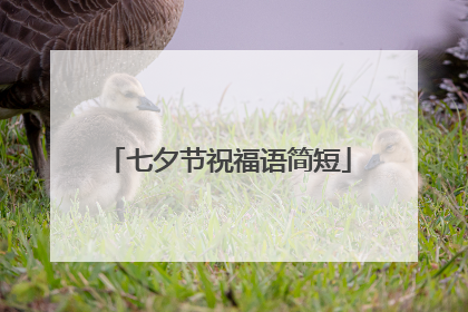 七夕节祝福语简短