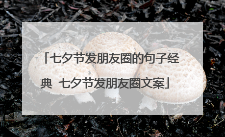 七夕节发朋友圈的句子经典 七夕节发朋友圈文案