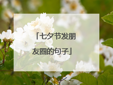 七夕节发朋友圈的句子