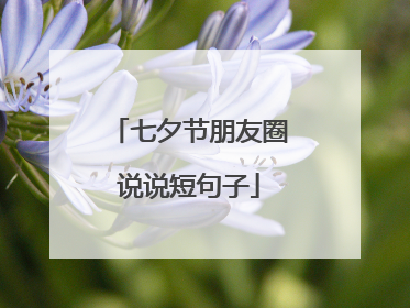 七夕节朋友圈说说短句子