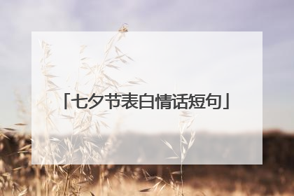 七夕节表白情话短句