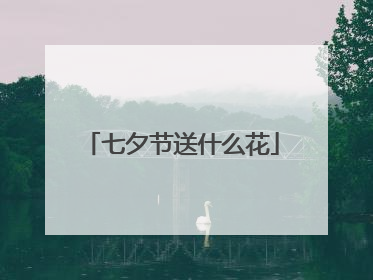 七夕节送什么花