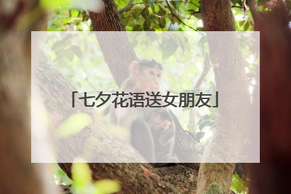 七夕花语送女朋友