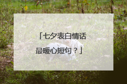 七夕表白情话最暖心短句？