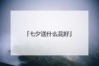 七夕送什么花好