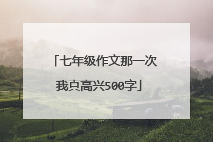 七年级作文那一次我真高兴500字