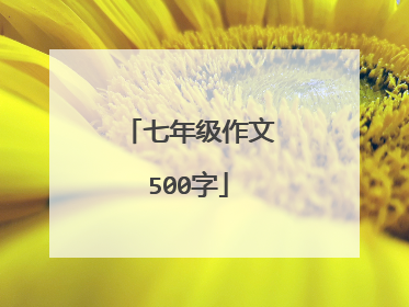 七年级作文500字