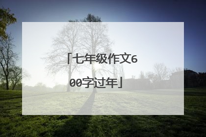 七年级作文600字过年