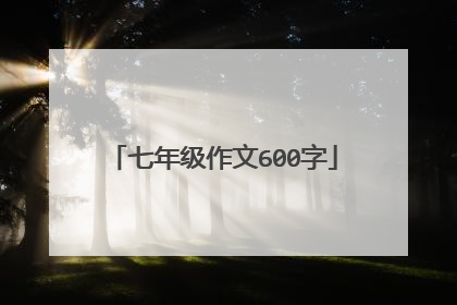 七年级作文600字