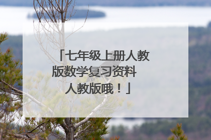 七年级上册人教版数学复习资料 人教版哦!