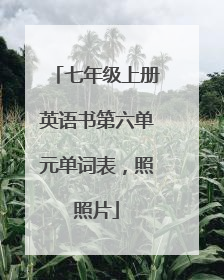 七年级上册英语书第六单元单词表，照照片