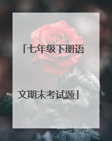 七年级下册语文期末考试题