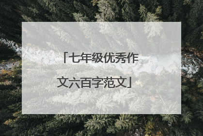 七年级优秀作文六百字范文
