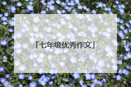 七年级优秀作文