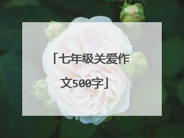 七年级关爱作文500字