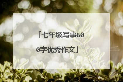 七年级写事600字优秀作文