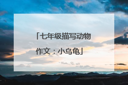 七年级描写动物作文:小乌龟