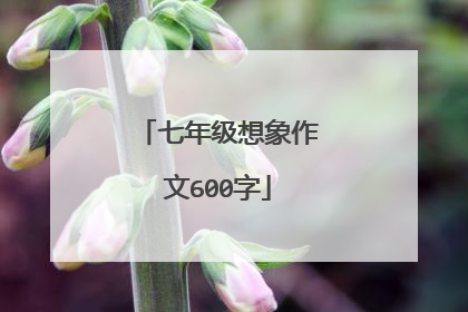 七年级想象作文600字