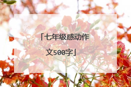 七年级感动作文500字
