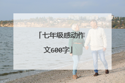 七年级感动作文600字