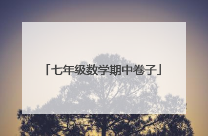 七年级数学期中卷子