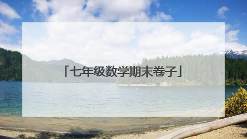 七年级数学期末卷子