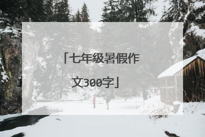 七年级暑假作文300字