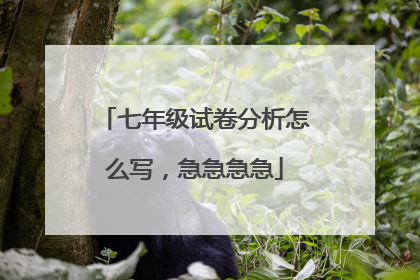七年级试卷分析怎么写，急急急急