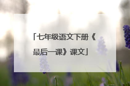 七年级语文下册《最后一课》课文
