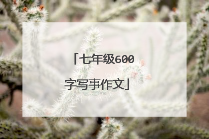 七年级600字写事作文