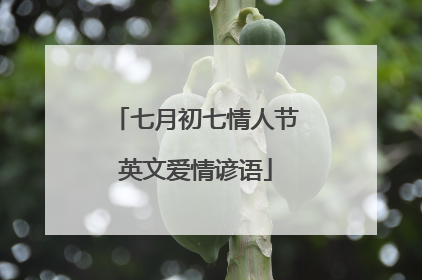 七月初七情人节英文爱情谚语