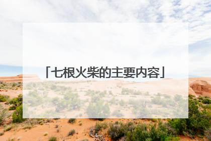 七根火柴的主要内容