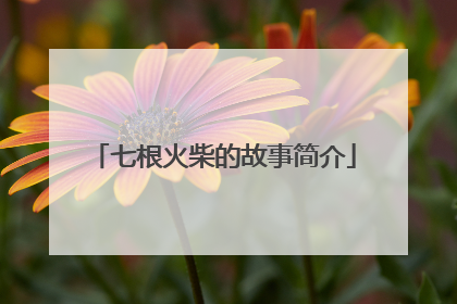 七根火柴的故事简介