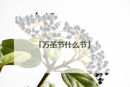 万圣节什么节