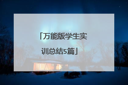 万能版学生实训总结5篇