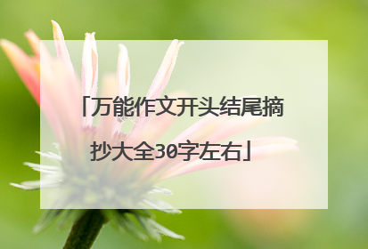 万能作文开头结尾摘抄大全30字左右