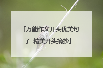 万能作文开头优美句子 精美开头摘抄