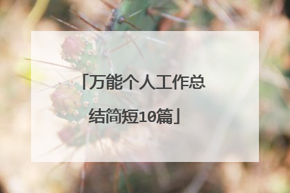 万能个人工作总结简短10篇