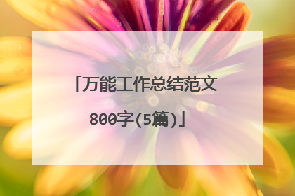 万能工作总结范文800字(5篇)