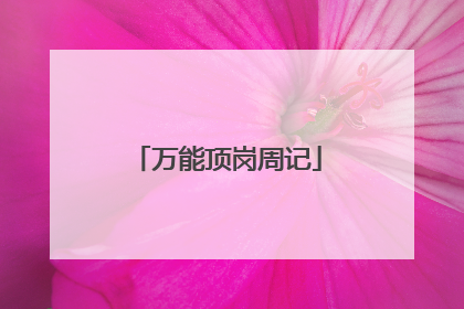 万能顶岗周记