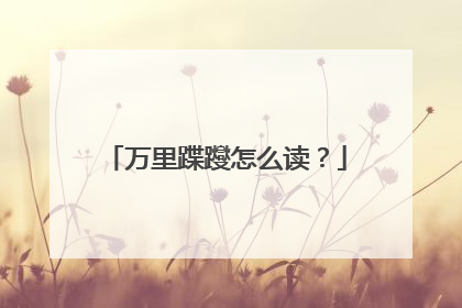 万里蹀躞怎么读？