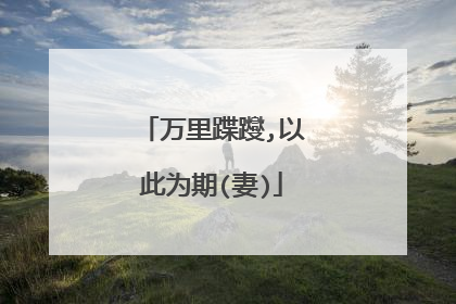 万里蹀躞,以此为期(妻)