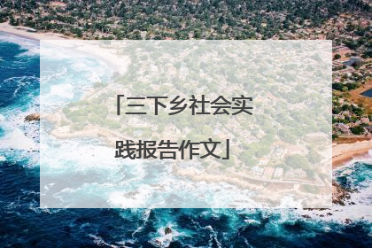 三下乡社会实践报告作文
